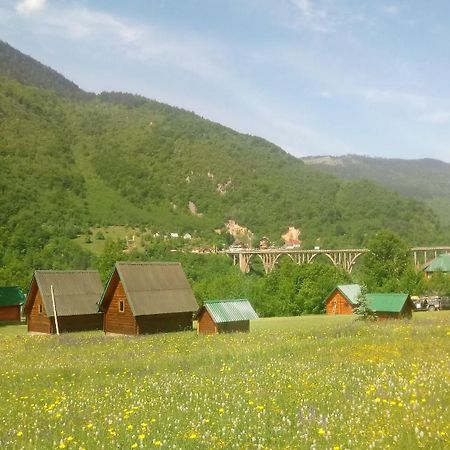 Kamp Rafting Kljajevica Luka Villa ปิเลฟเลีย ห้อง รูปภาพ