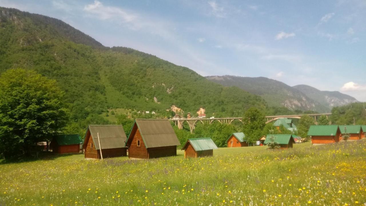 Kamp Rafting Kljajevica Luka Villa ปิเลฟเลีย ภายนอก รูปภาพ